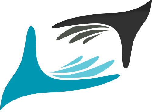 Icon 1